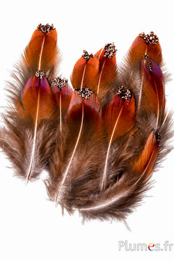 Fagiano di Colchide lustrini cioccolato - 3-5 cm - naturale